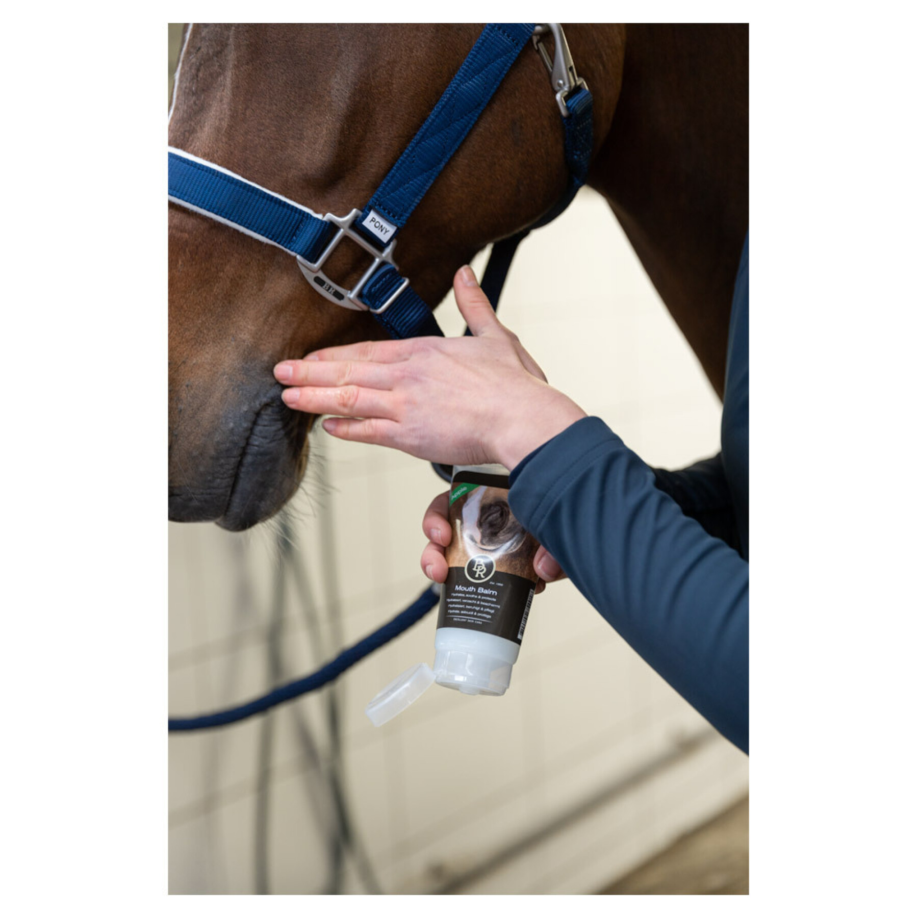 Mondbalsem voor paarden BR Equitation Pomme