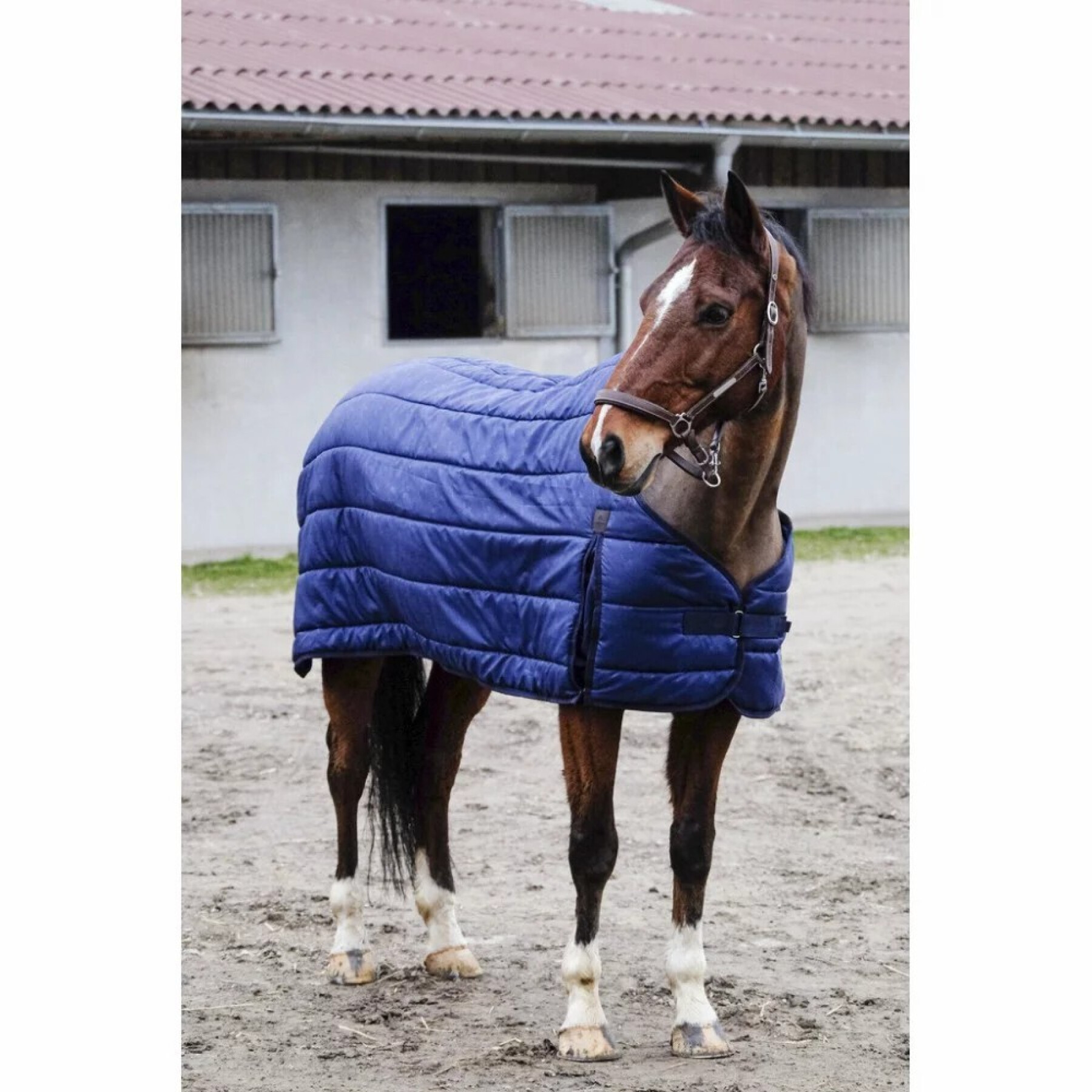 Undercover voor paarden Equithème Classic 200 g