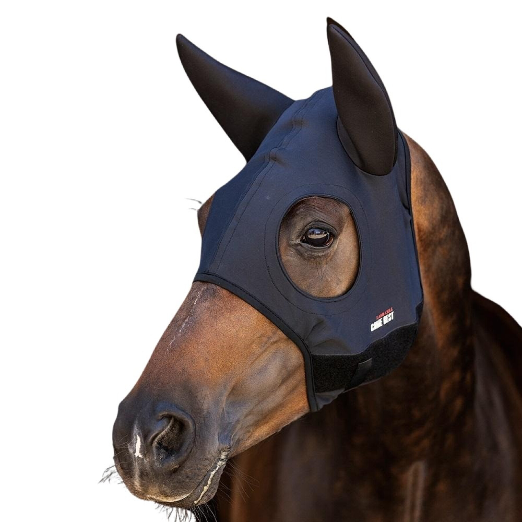 Anti-vliegenmasker voor paarden Fair Play Come Best