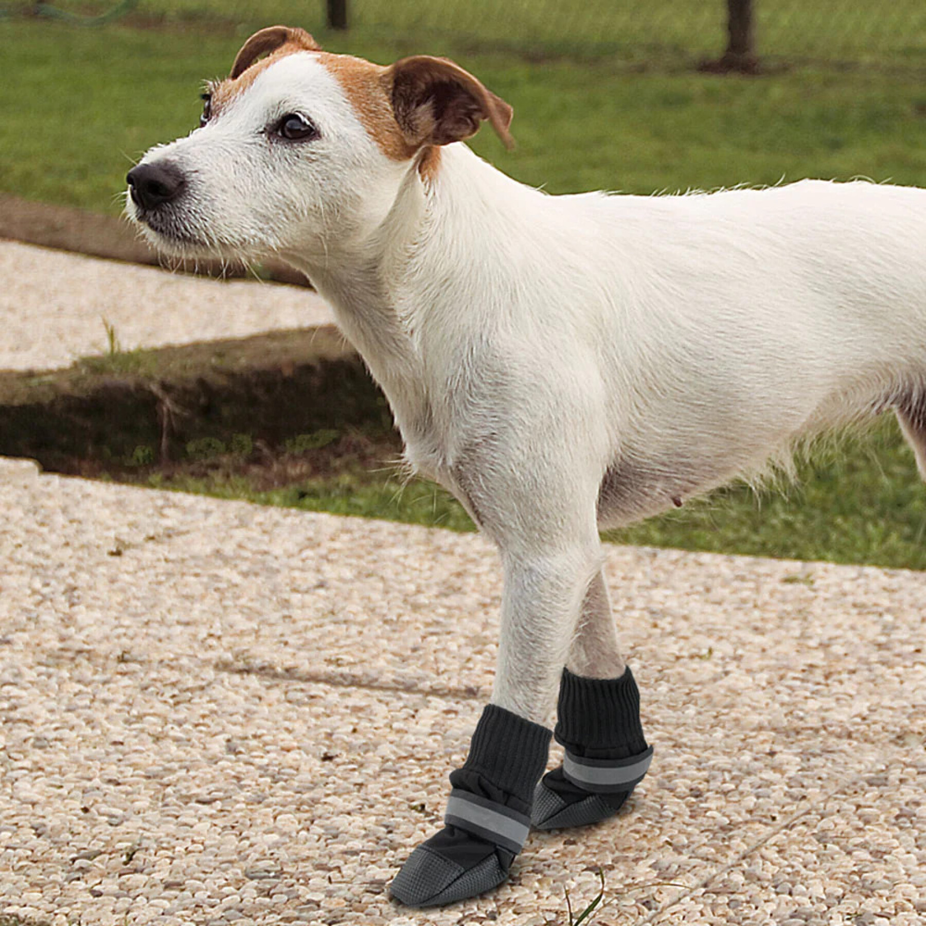 Beschermende schoenen voor honden Ferplast (x2)