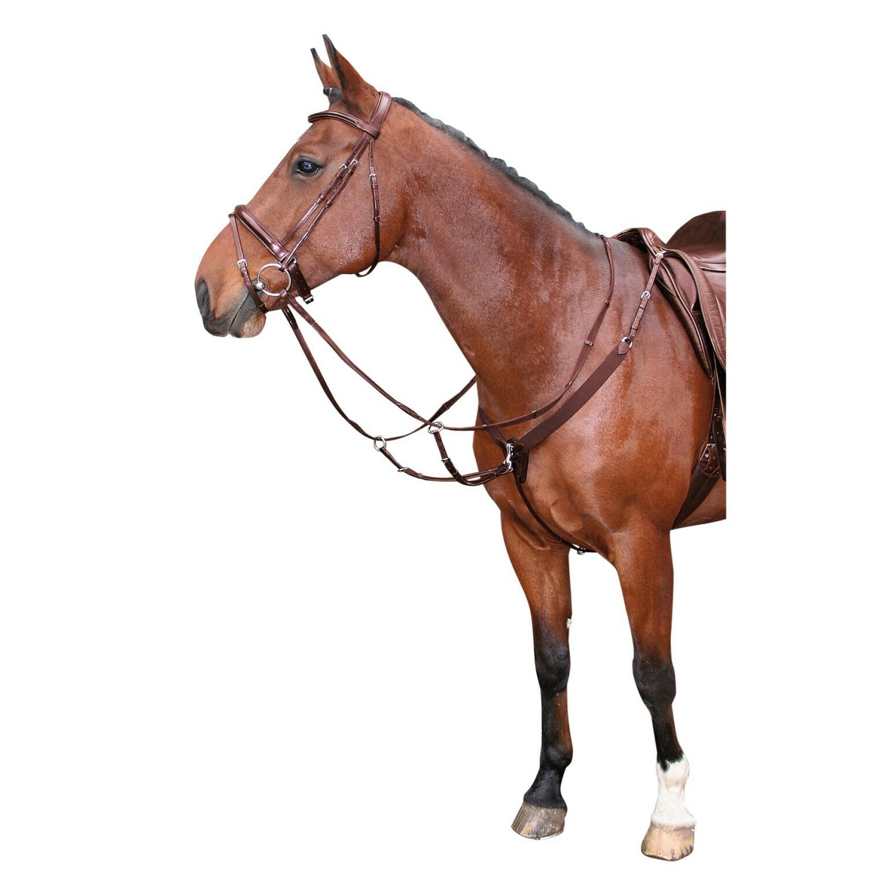Elastische jachthalsband voor paarden Harry's Horse