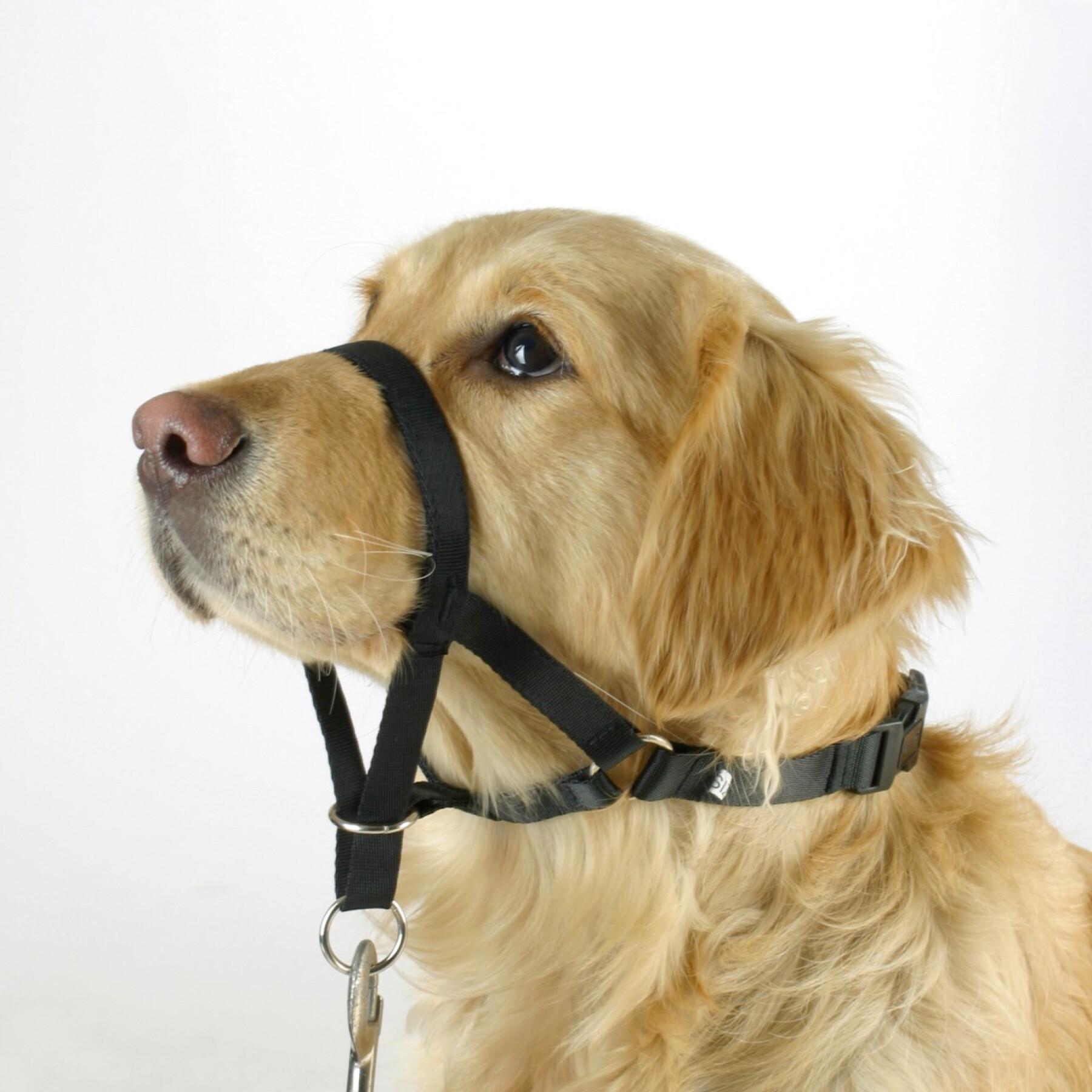 Trainingshalsband voor honden Kerbl Maxi Coach