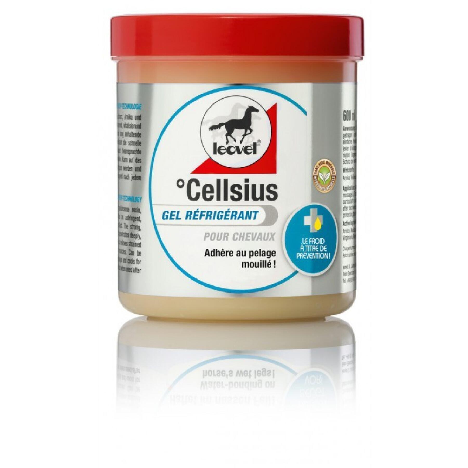 Verfrissende gel voor paarden Leovet Cellsius