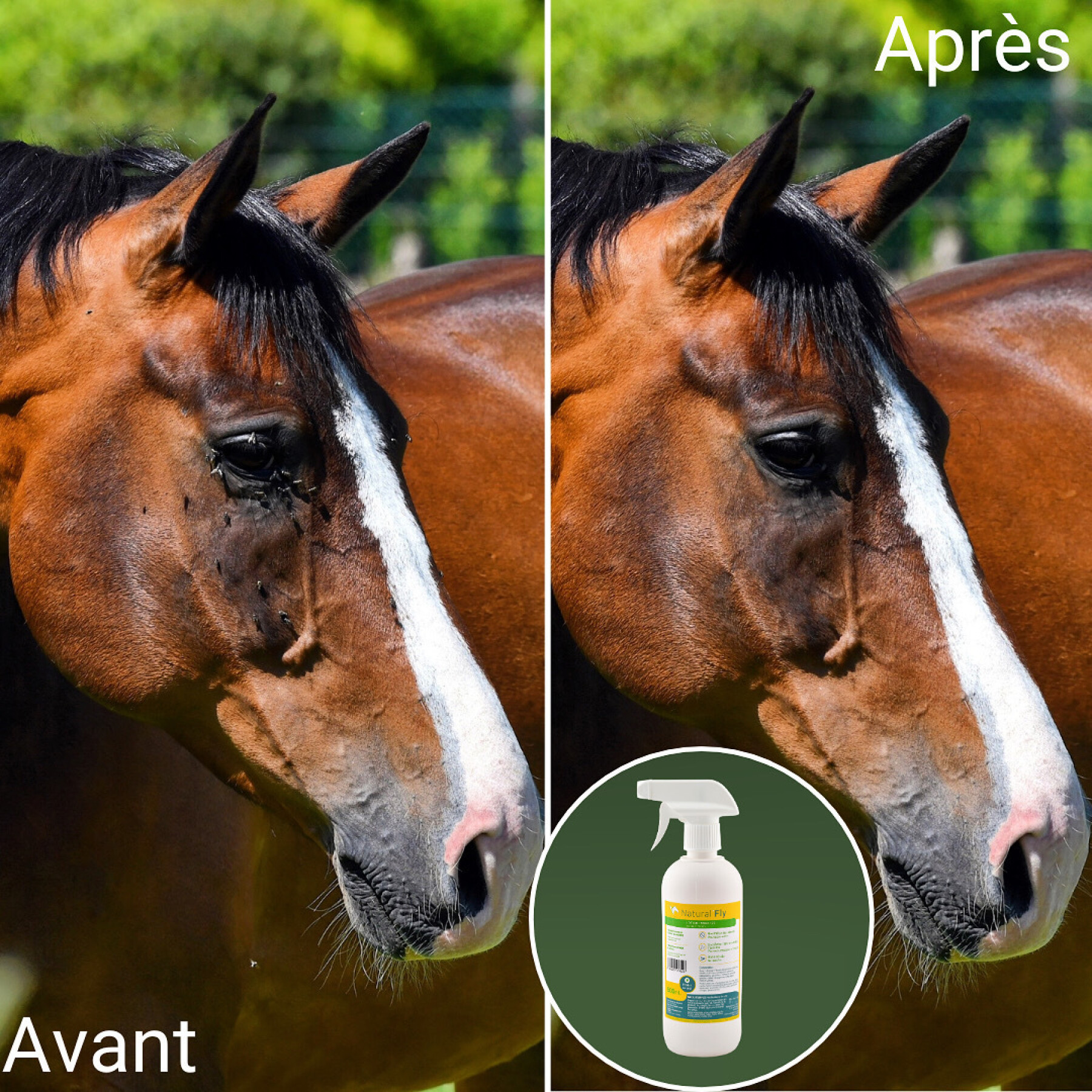 Anti-insectenspray voor paarden Natural Innov Natural'Fly
