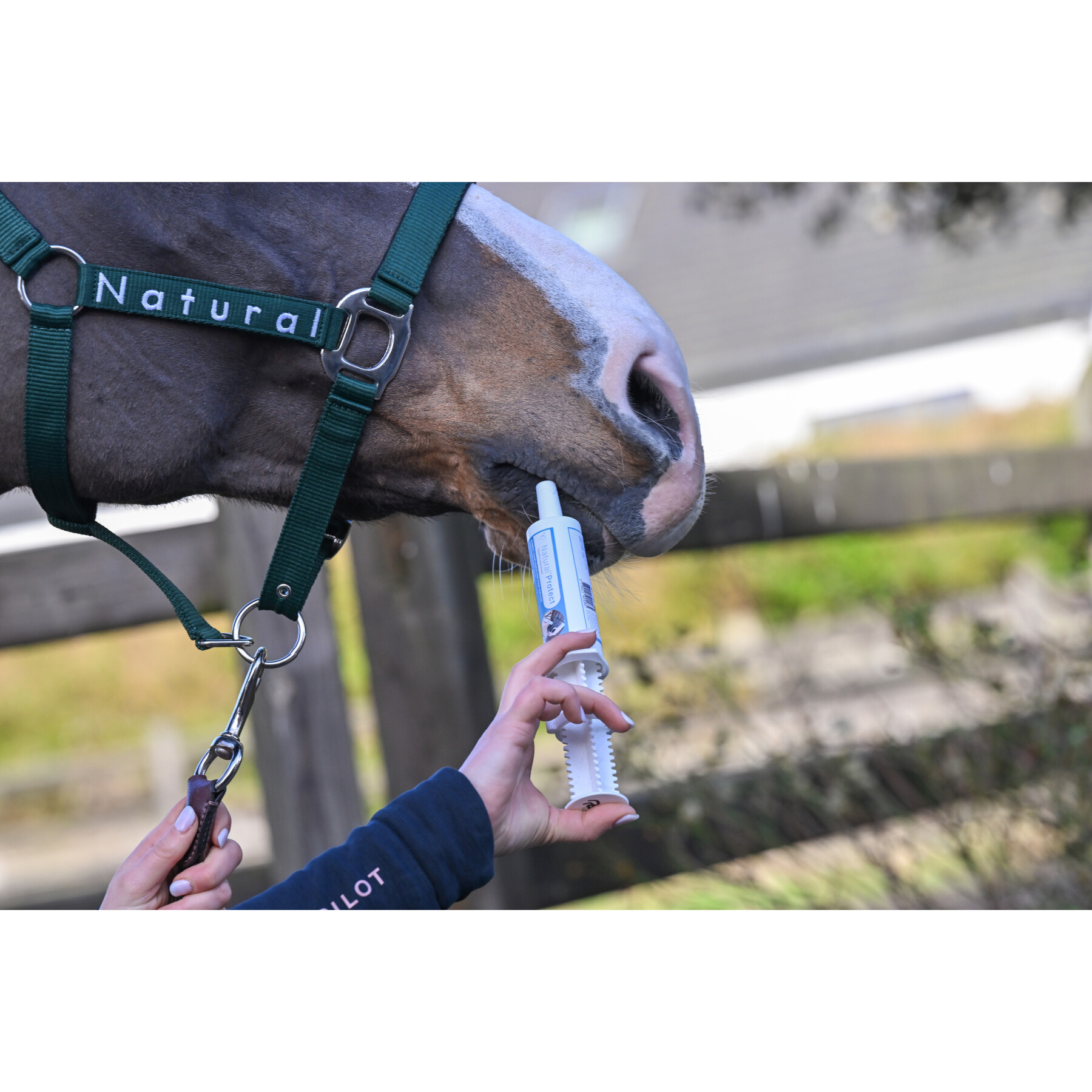 Voedingssupplement voor paarden tegen darmparasitisme Natural Innov Protect