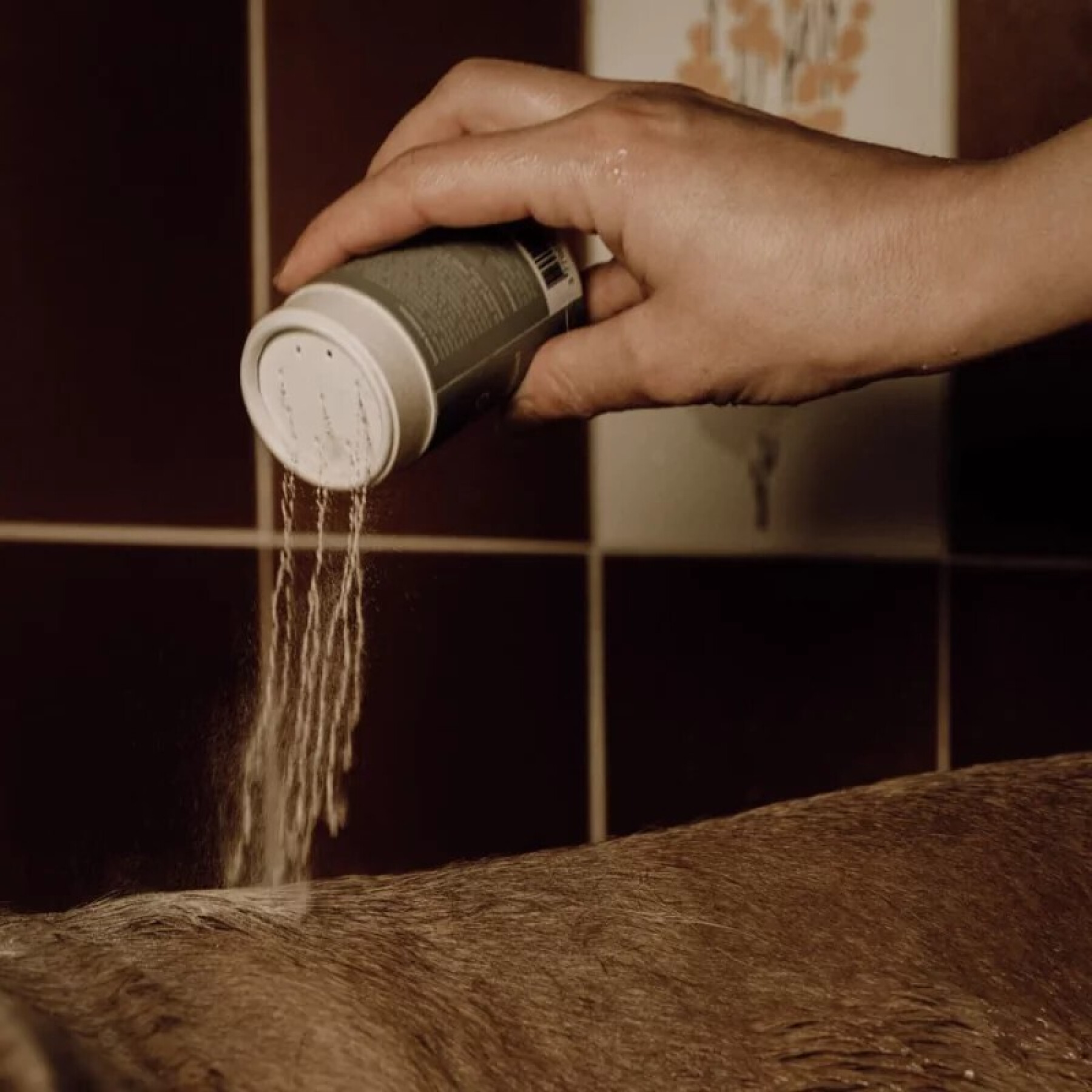Schuimende shampoo voor honden Nellumbo