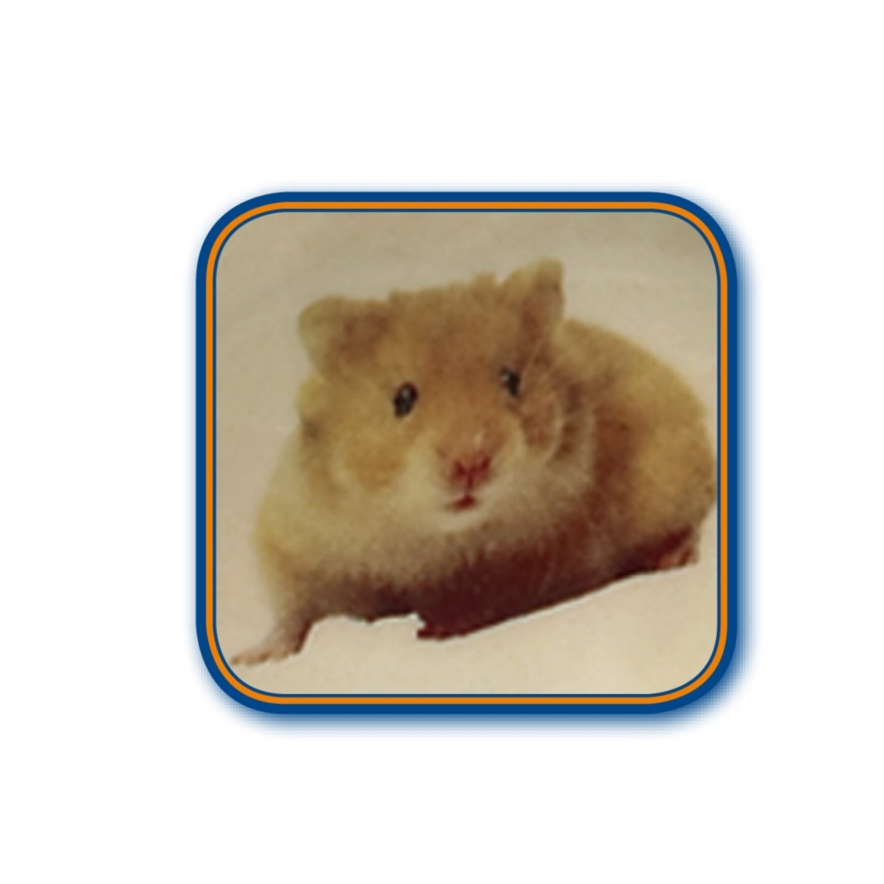 Hamsterbakje van keramiek Nobby Pet