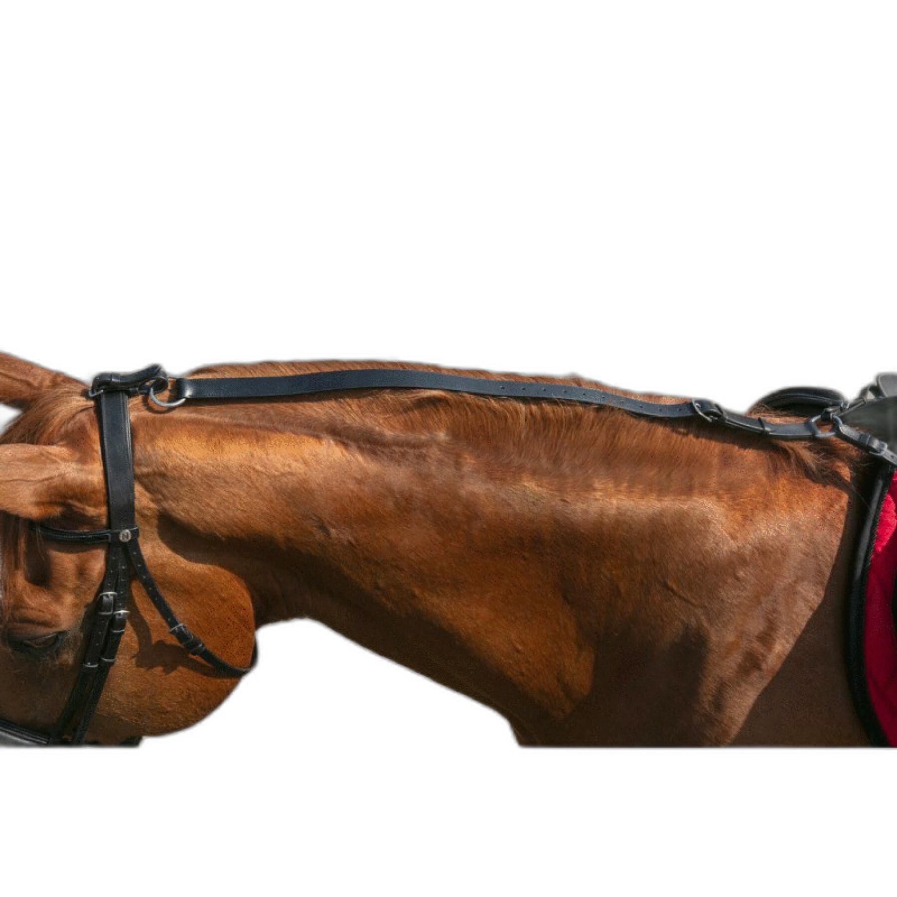 Anti-kantel paardenhoofdstel Norton Pro