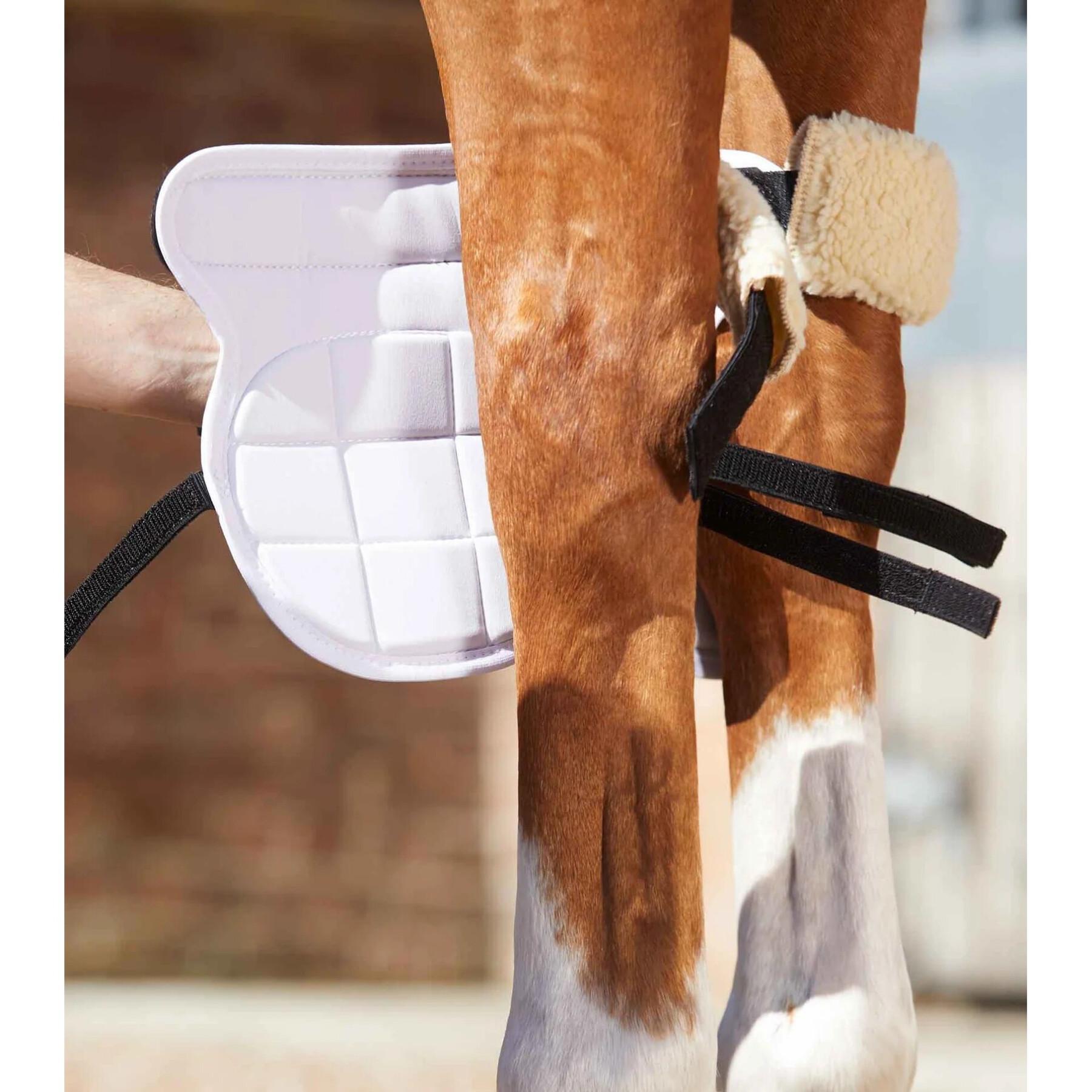 Magnetische kniebeschermers voor paarden Premier Equine Magni-Teque