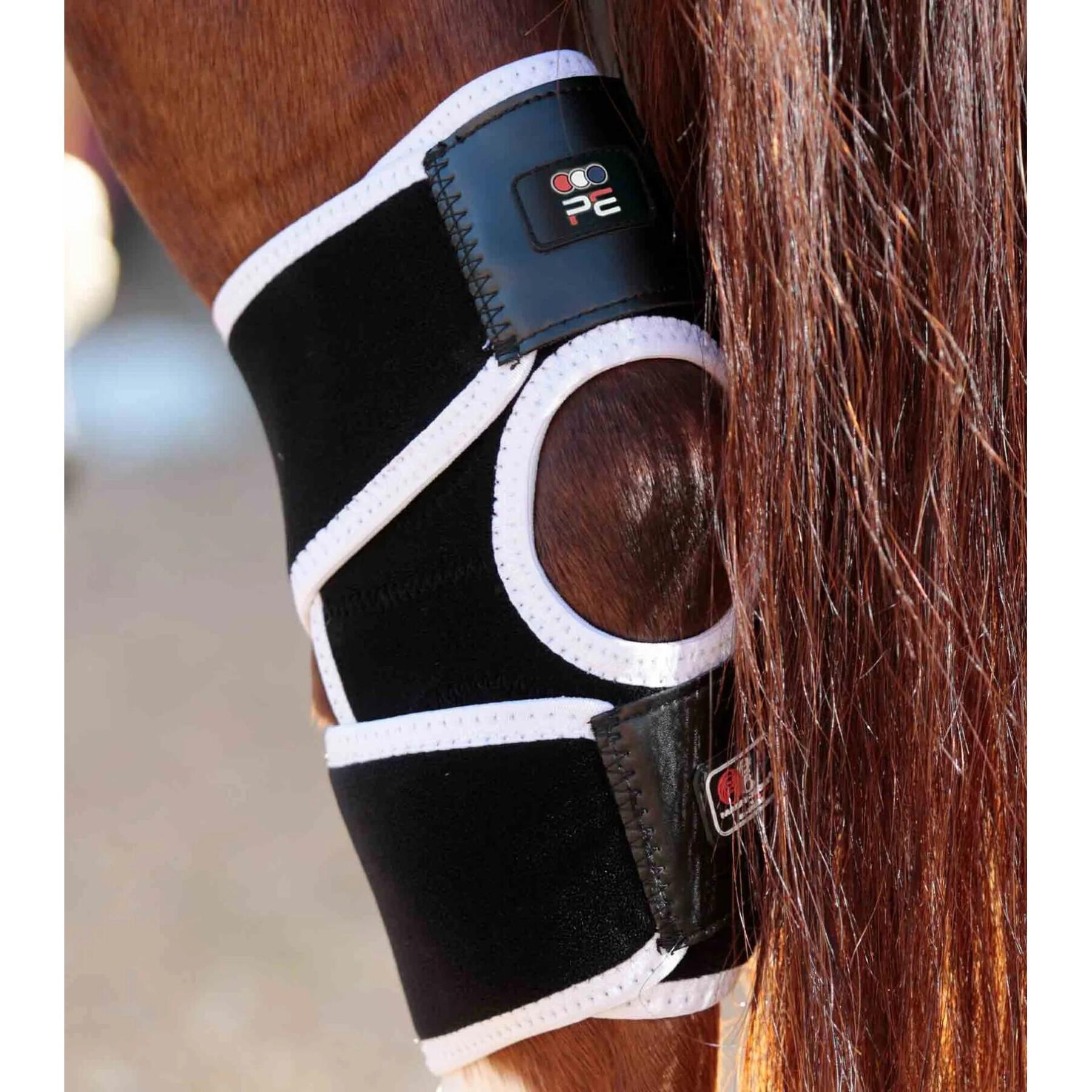 Magnetische kniebeschermers voor paarden Premier Equine Magni-Teque