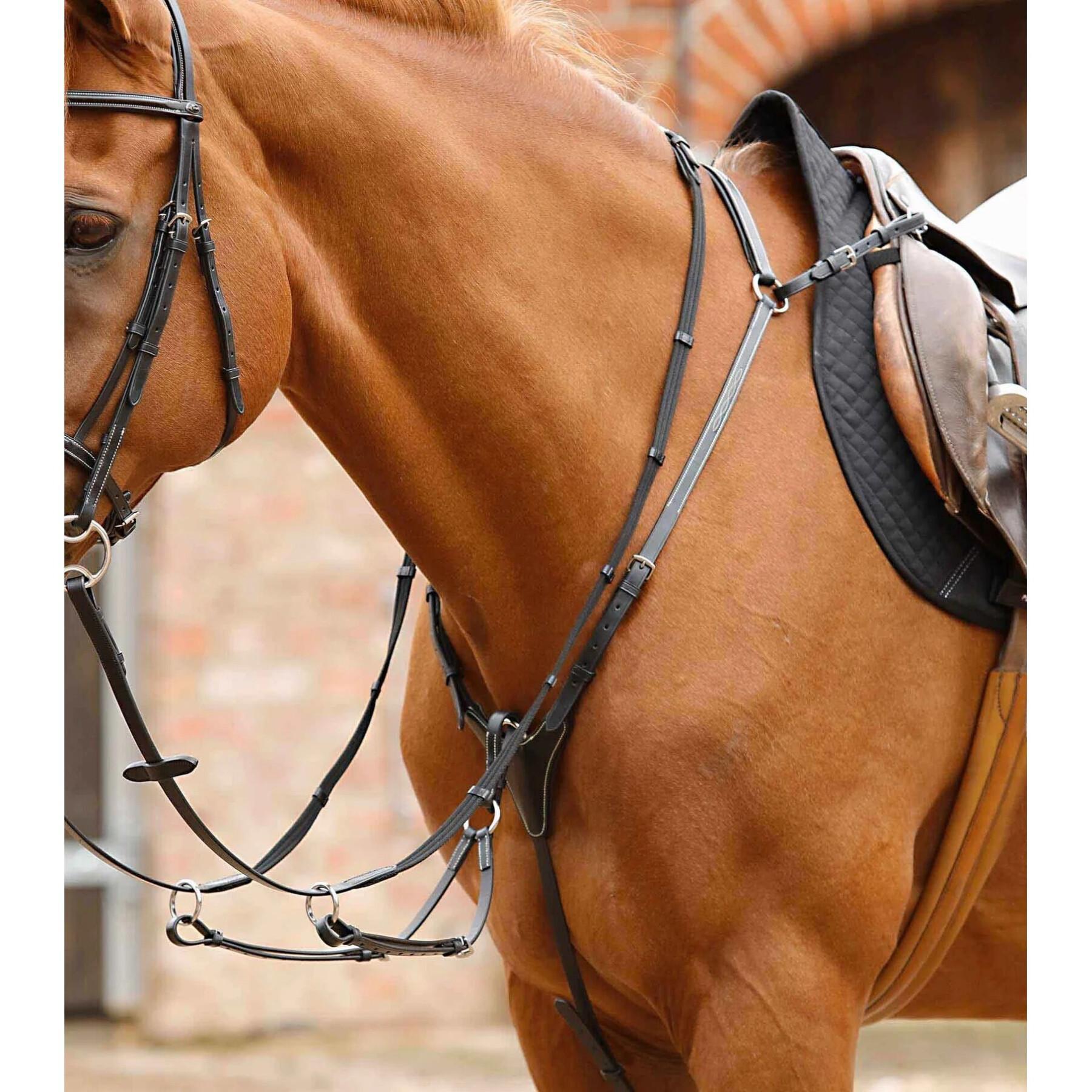 Jachthalsband voor paarden Premier Equine Norbello