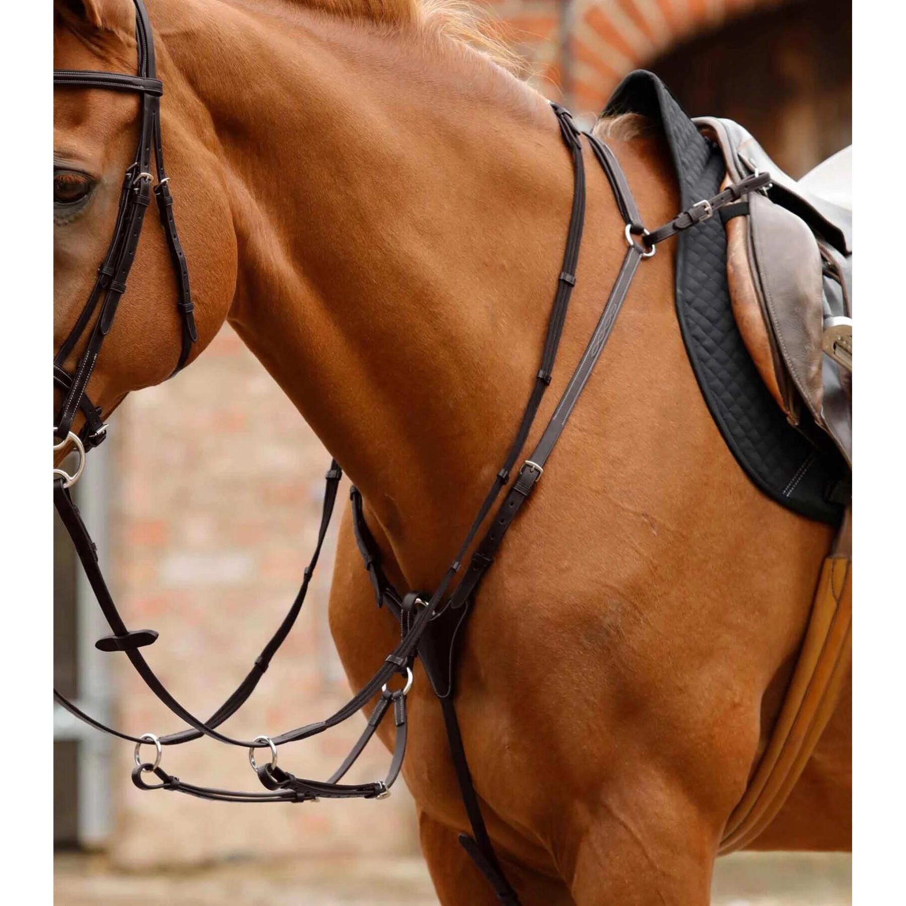voor paarden Premier Norbello - Jachthalsbanden - Leder - Paard