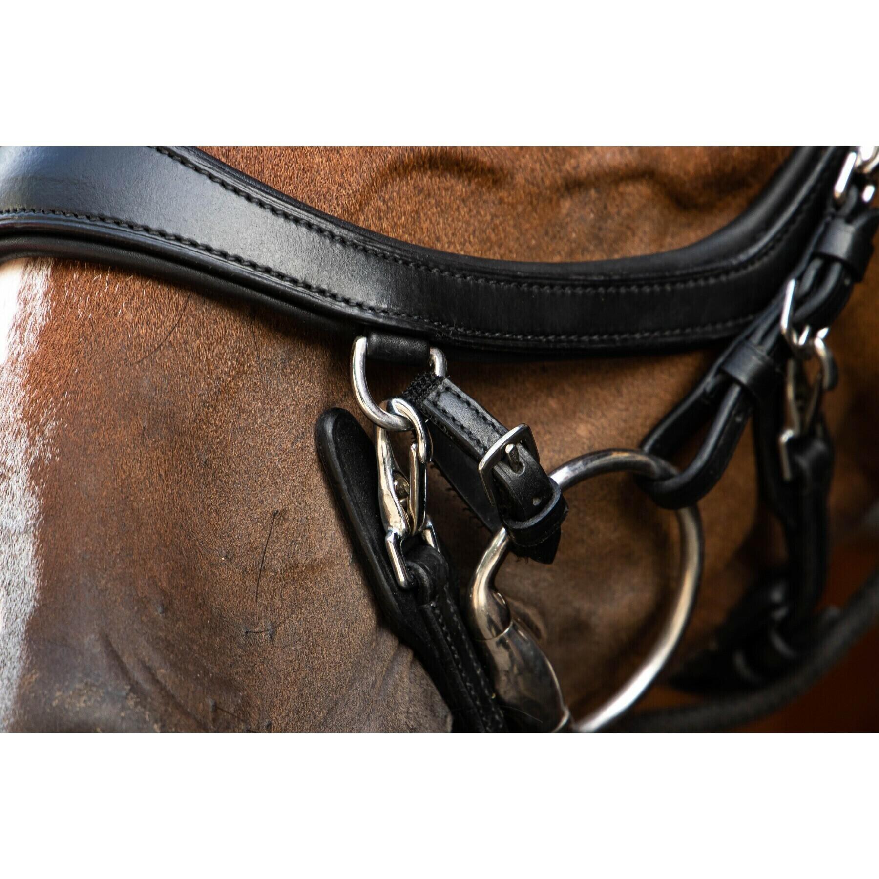 Elastische riemen voor paardenbit Presteq