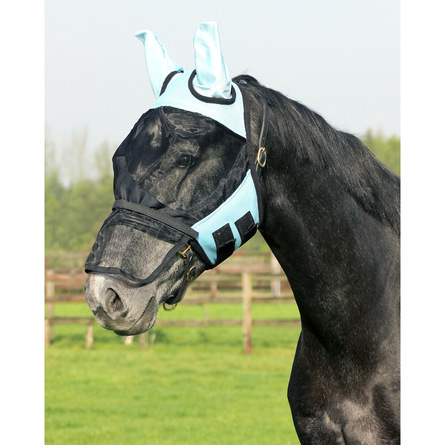 Anti-vliegenmasker voor paarden QHP
