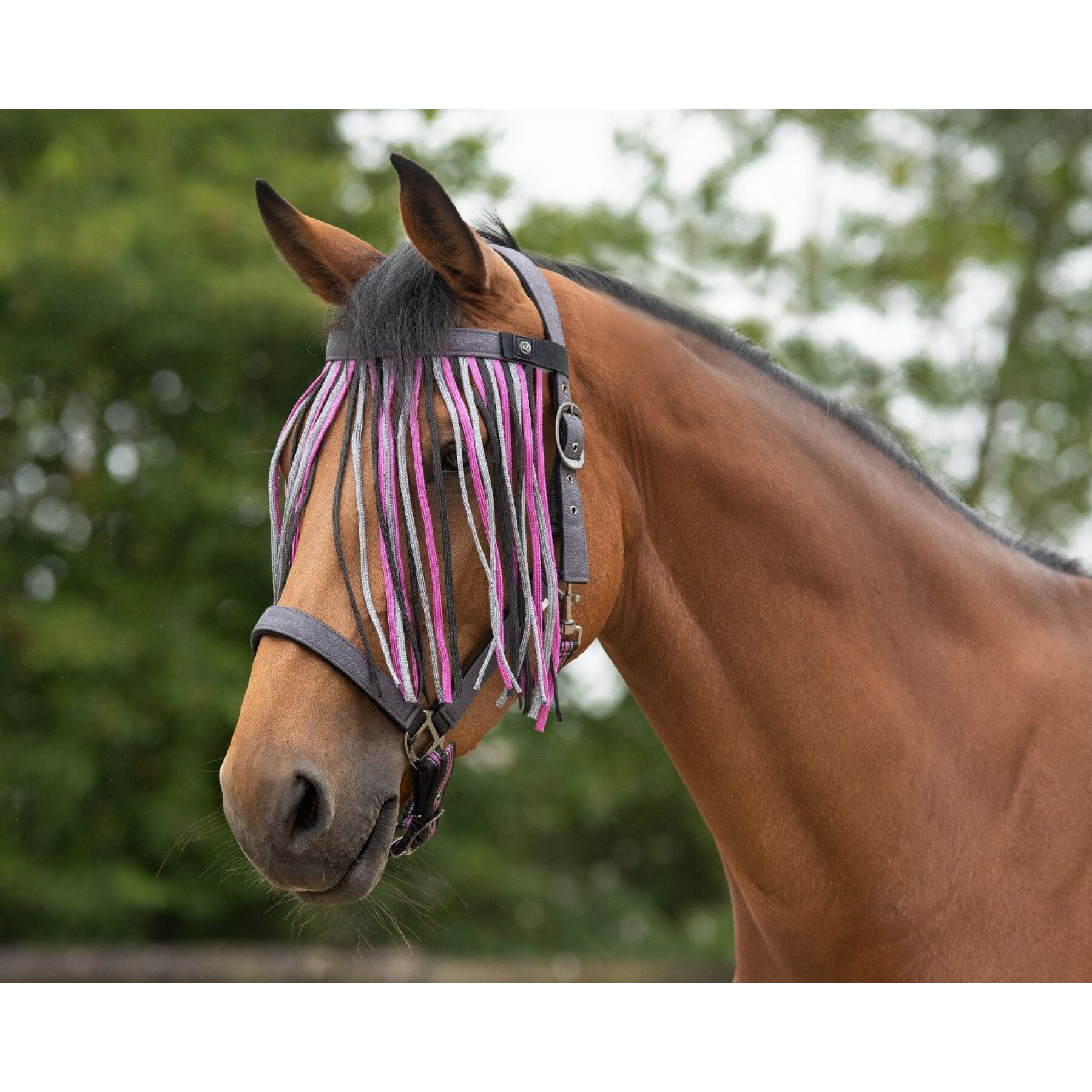 Anti-vliegband voor paarden QHP Collection