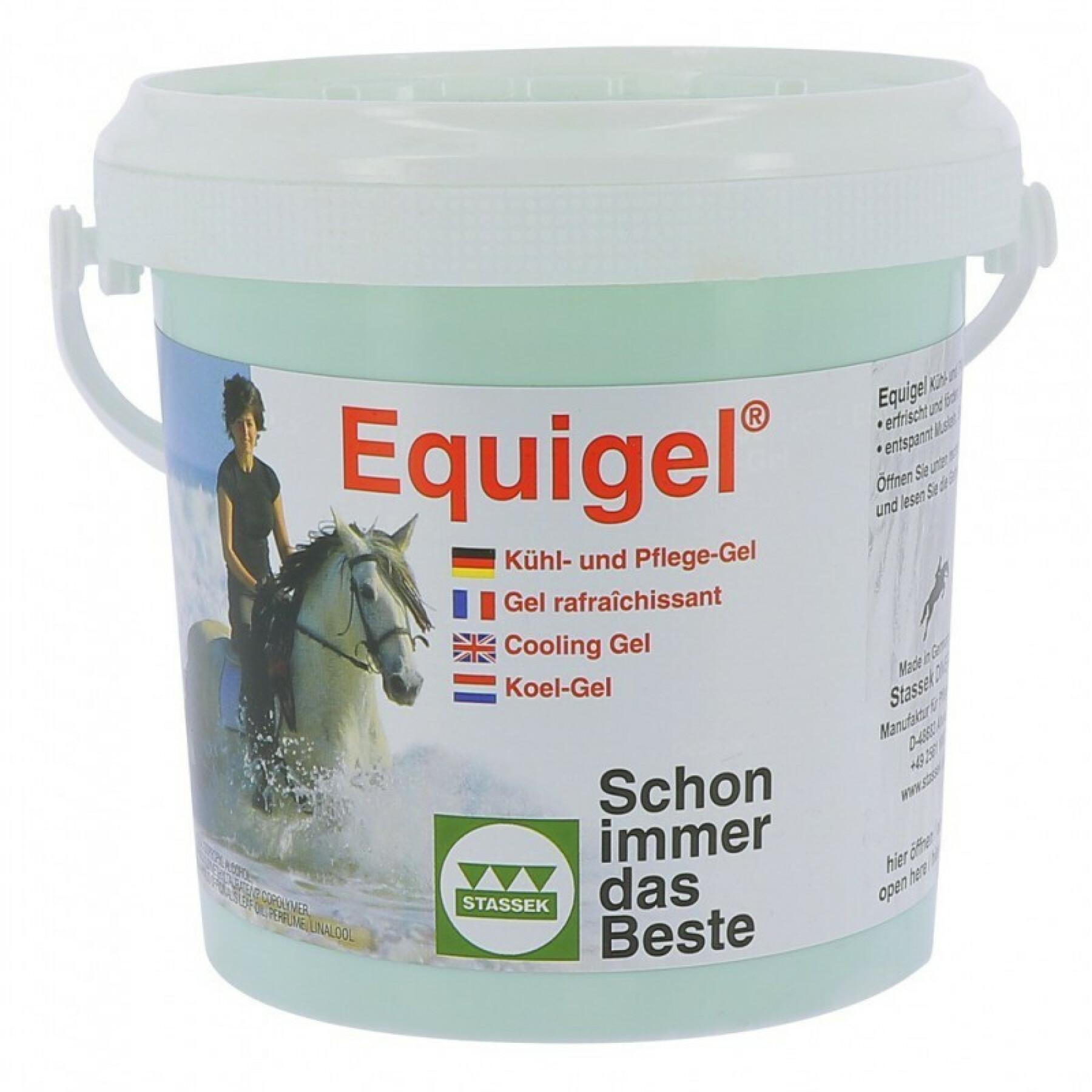 Paardenmassage gel Stassek Equigel 1L