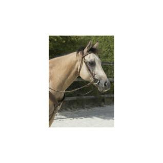 Hoofdstellen voor paarden Westride Franck Perret colorado