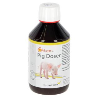 Voedingssupplement voor biggen Globigen Pig Doser