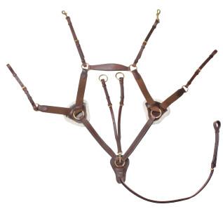 5 punts elastische paarden halsband Horka