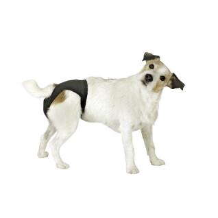Warmtebeschermingspanty voor honden Kerbl