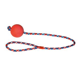 Set van 3 ballen met touw voor honden Kerbl