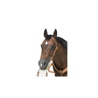 Hoofdstellen voor paarden Westride Franck Perret 1 oreille