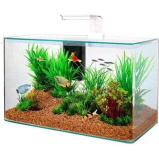 Transparante aquariumset Zolux