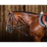 Nylon paardenhoofdstel accessoire Dy’on Gogue