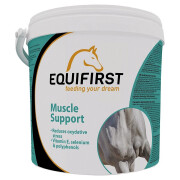Herstelvoedingssupplement voor paarden Equifirst Support