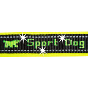 Hondenhalsband Ferplast Sport Dog C20/43