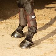 Kniebeschermer voor paarden Harry's Horse Beenbeschermers Flextrainer Air mesh