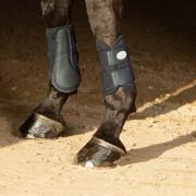 Kniebeschermer voor paarden Harry's Horse Beenbeschermers Flextrainer Air mesh