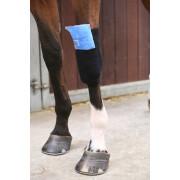 Tendon grip sok voor paarden Kentucky