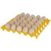 Trays voor 30 eieren pp Kerbl