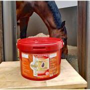 Voedingssupplement voor de spijsvertering van paarden Kevin Bacon's