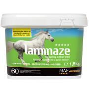 Darmondersteunend voedingssupplement voor paarden NAF Laminaze