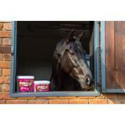 Spijsverteringssupplement voor paarden NAF Gastri Aid