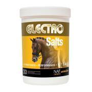 Herstelvoedingssupplement voor paarden NAF Electro Salts