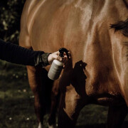 Insectenspray voor paarden Nellumbo