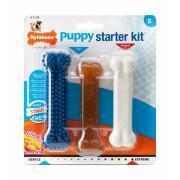 Set van 3 hondenspeeltjes Nylabone Puppy Starter Kit - 1 Puppybone Chicken / 1 Extreme Chew Chicken / 1 Dental Blue S