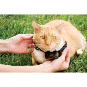 Anti-oploop omheiningset voor katten PetSafe Premium