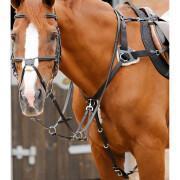 5-punts jachthalsband voor paarden Premier Equine Invorio