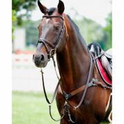Elastische jachthalsband voor paarden met martingaal Tattini